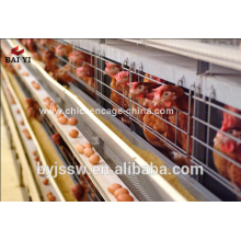 Poultry farm house design layer egg chicken cage for sale